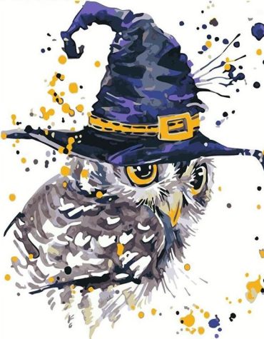 Magic Owl Splash Paint By Numbers