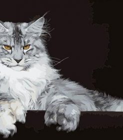 Maine Coon Cat Art Paint By Numbers