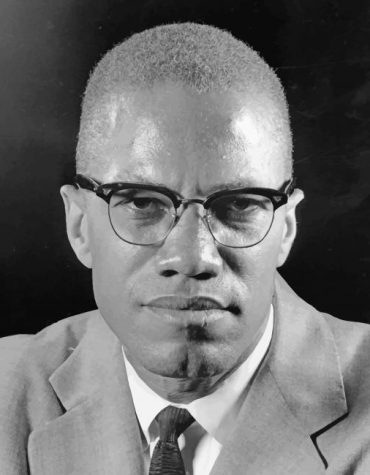 Malcolm X Black White Paint By Numbers