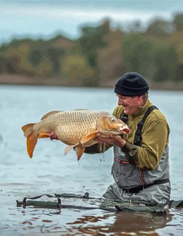 Carp Fishing Scene Paint By Numbers