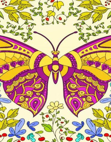 Mandala Butterfly Art Kit Paint By Numbers