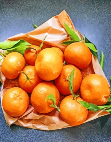 Mandarine Citrus Delight Paint By Numbers