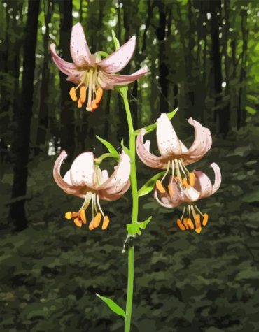 Martagon Lilies Collection Paint By Numbers