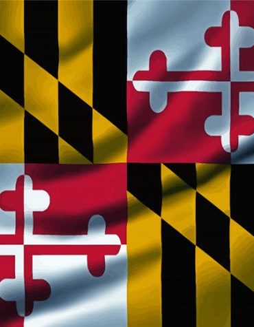 Maryland State Colors Paint By Numbers