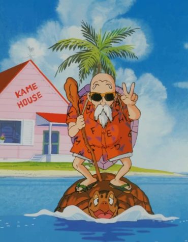 Dragon Ball Master Roshi Paint By Numbers