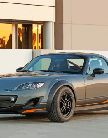 Miata Sports Car Paint By Numbers