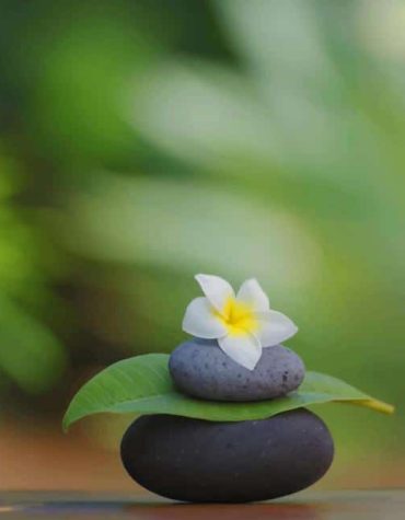 Peaceful White Flower Meditation Paint By Numbers