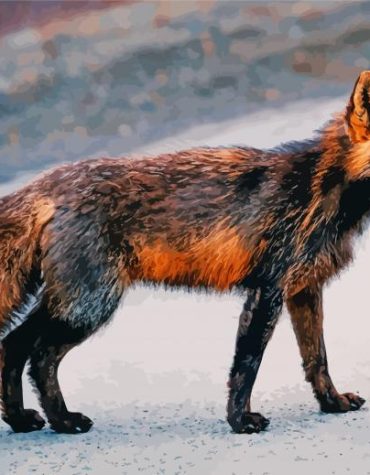 Melanistic Fox Wildlife Paint By Numbers