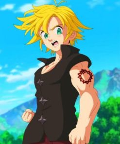 Meliodas Fairy Tail Paint By Numbers