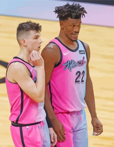 Miami Heat Basketball Stars Paint By Numbers