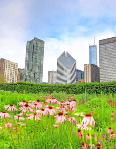 Millennium Park Chicago View Paint By Numbers