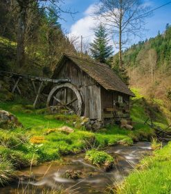 Mini Stream Spring Landscape Paint By Numbers