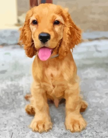 Miniature Golden Retriever Puppy Paint By Numbers