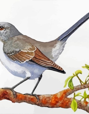 Mockingbird Perched Paint By Numbers