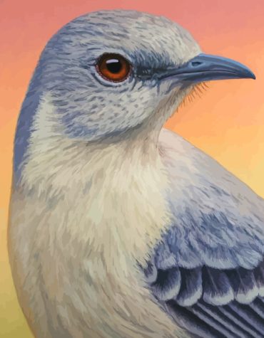 Mockingbird Wildlife Paint By Numbers