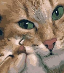 Mommy Cat Animal Art Paint By Numbers