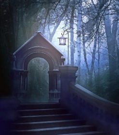 Moonlit Forest Door Paint By Numbers