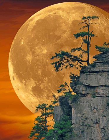 Beautiful Moonlit Landscape Paint By Numbers