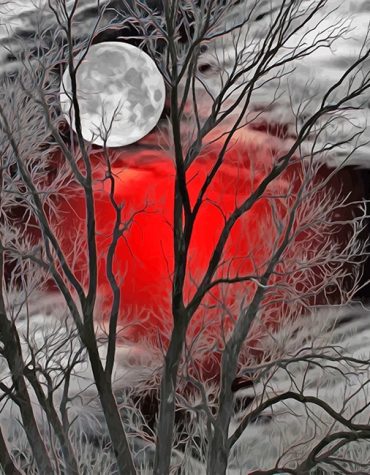 Red Moon Forest Paint By Numbers