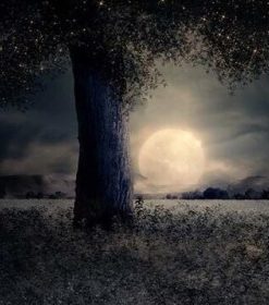 Moonlit Landscape Paint By Numbers