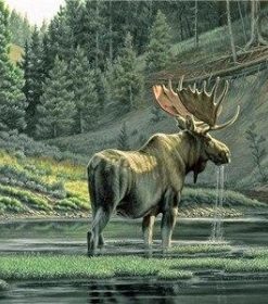 Moose River Scene Paint By Numbers