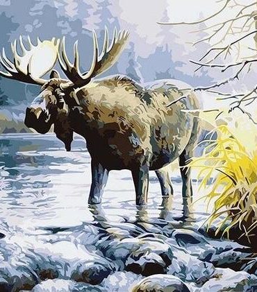 Bull Moose River Scene Paint By Numbers