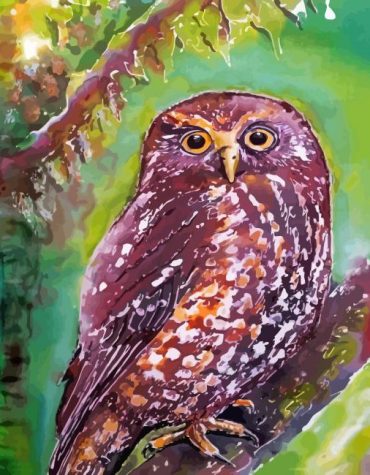 Morepork Owl Paint By Numbers