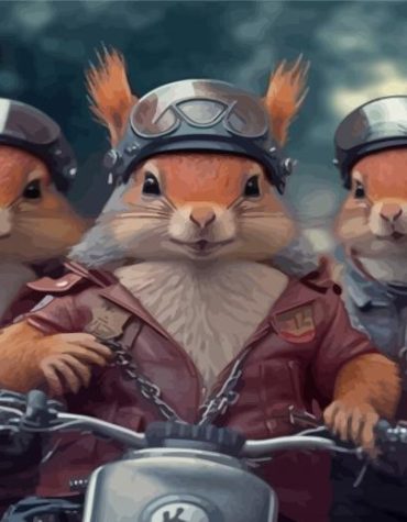 Motocross Squirrel Fun Paint By Numbers