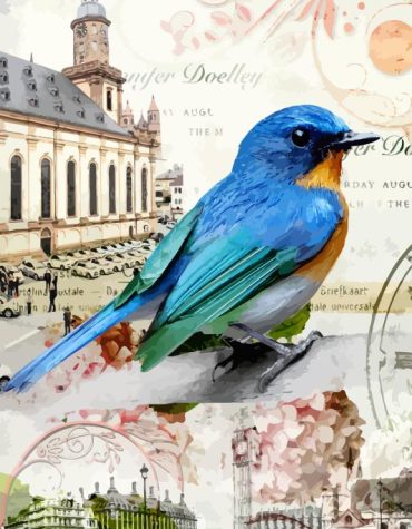 Mountain Bluebird Picture Paint By Numbers