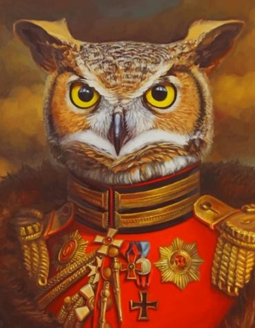 Mr Owl Eastern Screech Paint By Numbers