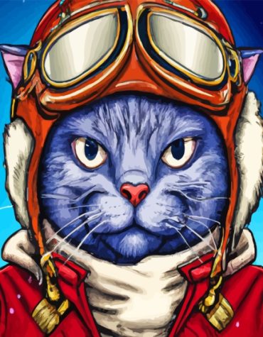 Mr Pilot Cat Adventure Paint By Numbers