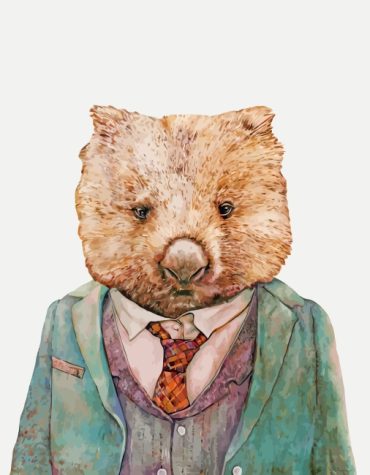 Wombat Adventure Paint By Numbers