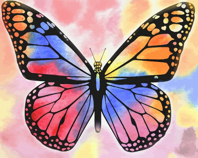 Colorful Butterfly Insects Paint By Numbers