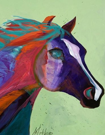 Colorful Horse Art Paint By Numbers