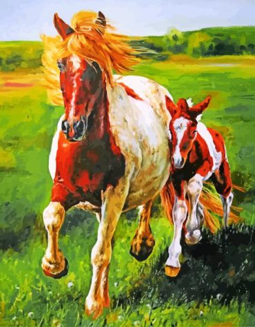 Wild Mustang Foal Paint By Numbers