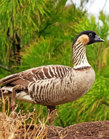 Nene Goose Bird Paint By Numbers