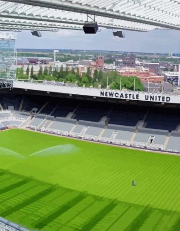 Newcastle Stadium Cityscape Paint By Numbers