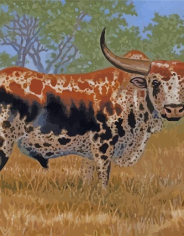 Nguni Cattle Paint By Numbers