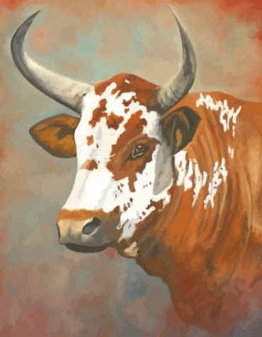 Nguni Cow Wildlife Paint By Numbers