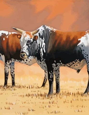 Nguni Cows Paint By Numbers
