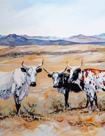 Nguni Cattle Paint By Numbers
