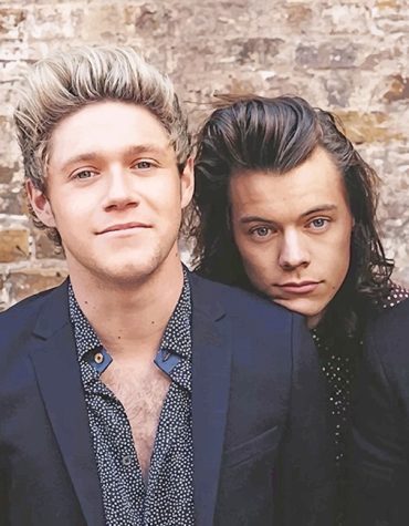 Niall Horan Harry Styles Duo Paint By Numbers