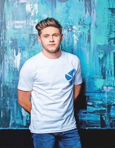 Niall Horan Paint By Numbers