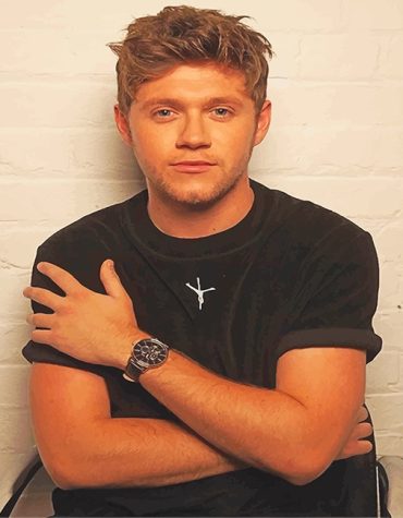 Cute Niall Horan Photoshoot Paint By Numbers