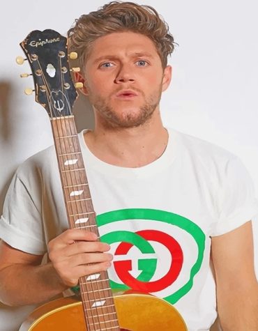 Niall Horan Fashion Shoot Paint By Numbers