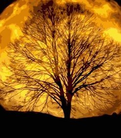 Moonlit Night Landscape Paint By Numbers