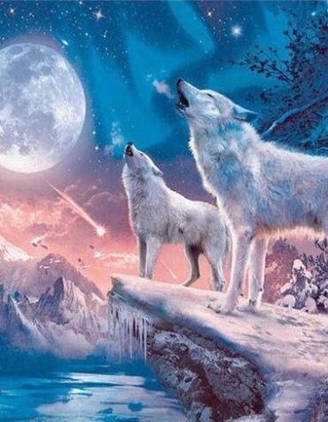 Wolf Northern Lights Paint By Numbers