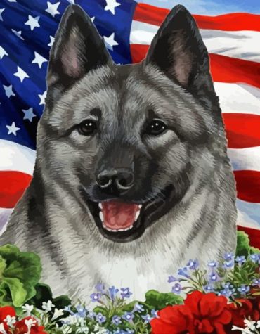 Charming Norwegian Elkhound Paint By Numbers