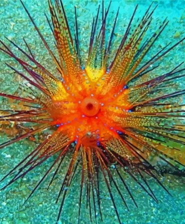Ocean Urchin Underwater Paint By Numbers