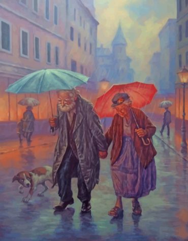 Romantic Old Couple Paint By Numbers